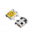 Mini USB 10pin. SMT SMD  lizdas